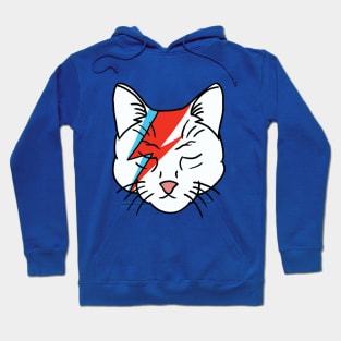 kitty stardust Hoodie